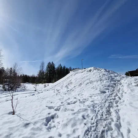 Blueberry House With Private Sauna&free Parking Apartmán Rovaniemi