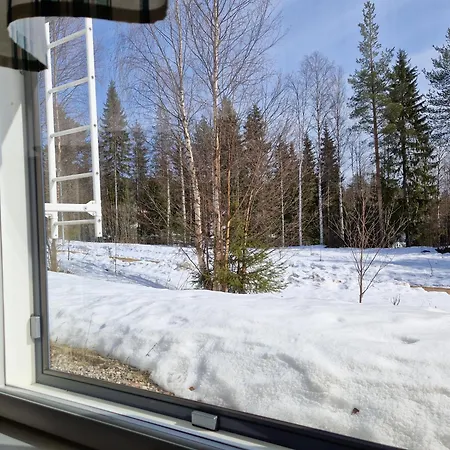 Blueberry House With Private Sauna&free Parking Apartmán *